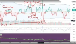 image_original (1).webp